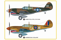 HB85801 P-40M Kitty Hawk