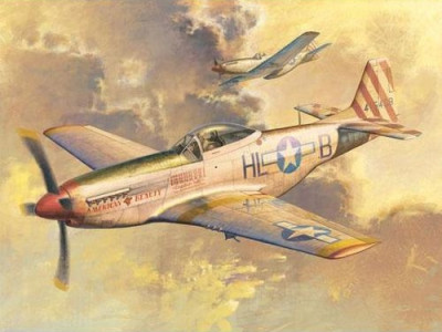 tr02275 P-51D Mustang